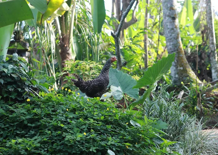 Kembar Ubud Bed & Breakfast