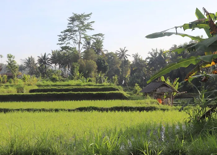 Bed & Breakfast Kembar Ubud *