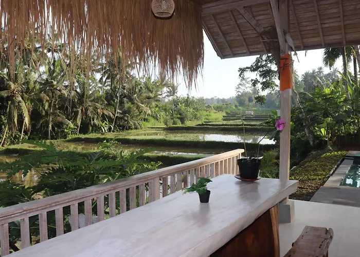 Bed & Breakfast Kembar Ubud *